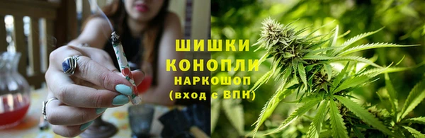 spice Инта