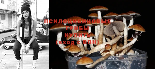 герыч Богородицк