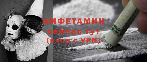 spice Инта